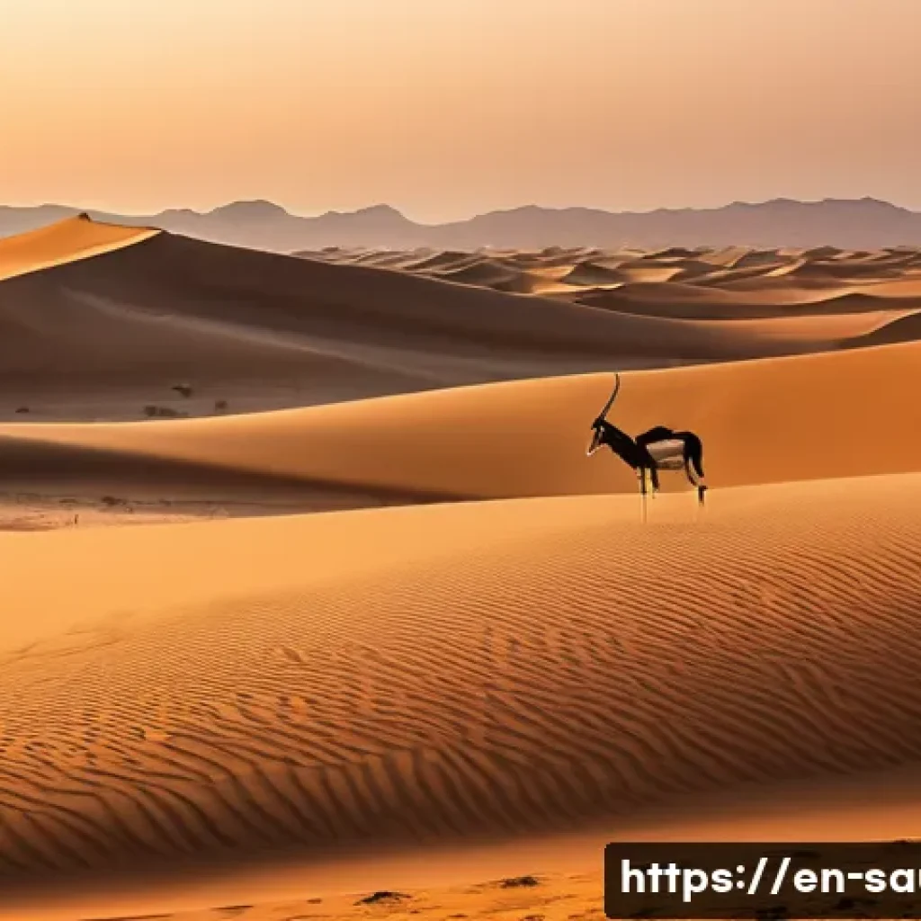 사우디아라비아 국립공원 및 자연 보호구역 - A panoramic view of the Rub' al Khali desert at sunset, showcasing vast rolling sand dunes under a w...