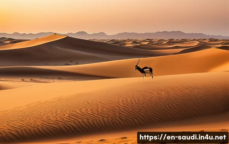 사우디아라비아 국립공원 및 자연 보호구역 - A panoramic view of the Rub' al Khali desert at sunset, showcasing vast rolling sand dunes under a w...